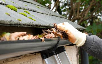 gutter cleaning St Margarets